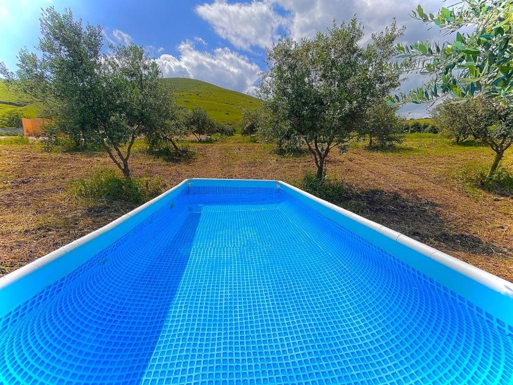 Geodesic Dome Retreat: Olive Grove Oasis Hotel Yavne'el Exterior photo